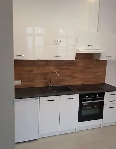 Komfortowy Apartament W Centrum Nowego Sacza