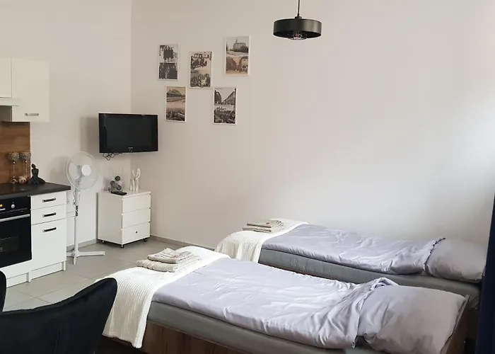 Komfortowy Apartament W Centrum Nowego Sacza